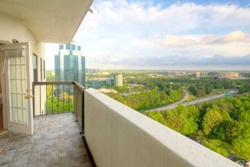 Amazing Penthouse with Stunning Views, pet friendly atlanta vacation rental, atlanta home rental dogs allowed