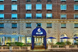 Hotel Indigo Atlanta Midtown, pet friendly hotel in Atlanta, Atlanta dogs allowed hotels