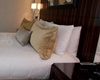 Mandarin Oriental Hotel, pet friendly hotel in Atlanta, Atlanta dogs allowed hotels