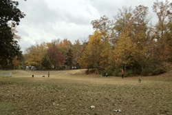 dog park mammoth california