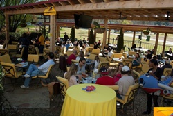 Park Tavern, dogs allowed restaurants in Atlanta, pet friendly restaurants in Atlanta Georgia