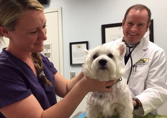 Peachtree Hills Animal Hospital, vets in Atlanta, Atlanta veterinarians