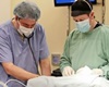 Peachtree Hills Animal Hospital, vets in Atlanta, Atlanta veterinarians