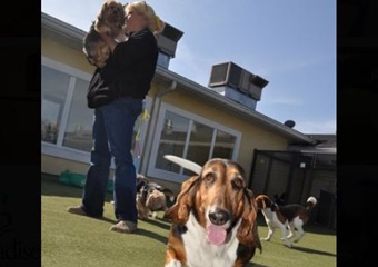 Pet Paradise Resort Atlanta Airport, pet boarding in Atlanta, Atlanta dog daycare, Pet Friendly Atlanta Pet Care