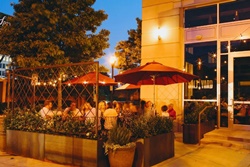 Saltyard, dogs allowed restaurants in Atlanta, pet friendly restaurants in Atlanta Georgia